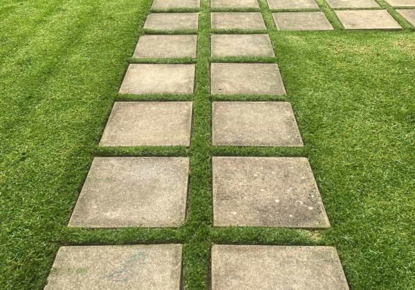 649607230_1457132292864680_6985460059387527341_n